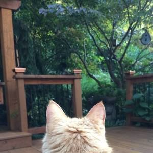 Meet your Posher, Gail